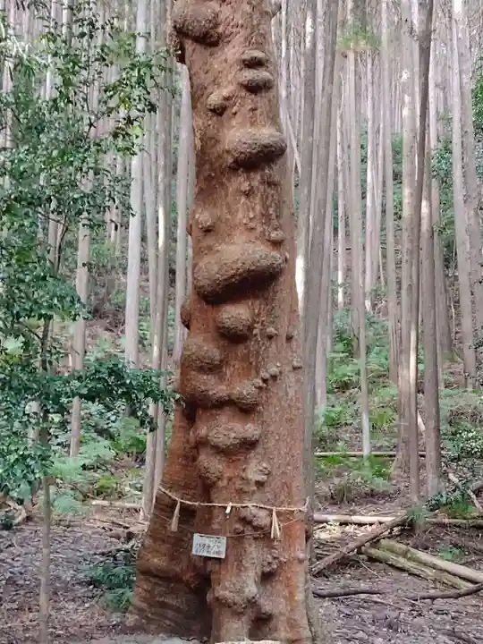 豊浦神社(三重県)