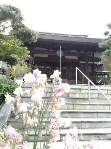 報恩寺の本殿・本堂