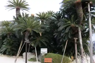 梵潮寺(三重県)