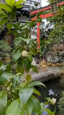 宝蔵寺(京都府)