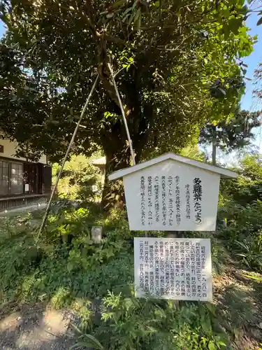 慈光寺(埼玉県)