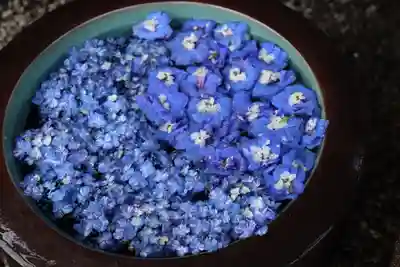 上尾御嶽神社の手水舎