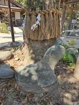 志賀海神社(福岡県)