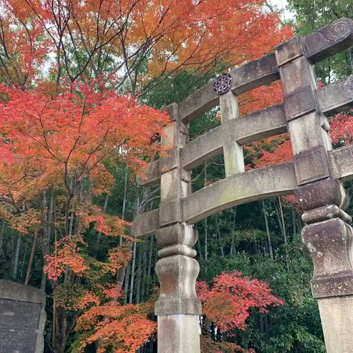 化野念仏寺の鳥居