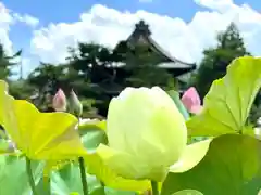 信濃國分寺(長野県)