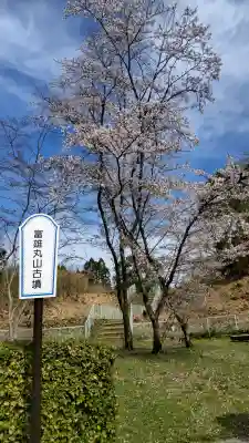 富雄丸山古墳の{uncategorized: "未分類", other: "その他", undefined: "問題あり", building: "その他建物", grave: "お墓", sacred_gate: "鳥居", guardian: "狛犬", statue: "像", buddha: "仏像", history: "歴史", nature: "自然", garden: "庭園", animal: "動物", pagoda: "塔", temizu: "手水舎", mountain_gate: "山門・神門", sanctuary: "本殿・本堂", subordinate: "末社・摂社", art: "芸術", scenery: "景色", jizo: "地蔵", ema: "絵馬", goshuin: "御朱印", omikuji: "おみくじ", items: "授与品その他", amulet: "お守り", goshuincho: "御朱印帳", eats: "食事", festival: "お祭り", votive_dance: "神楽", shichigosan: "七五三参", wedding: "結婚式", experience: "体験その他", initially: "初詣", around: "周辺", anti_infection: "感染症対策"}