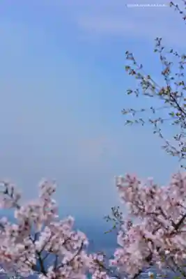 新倉富士浅間神社(山梨県)