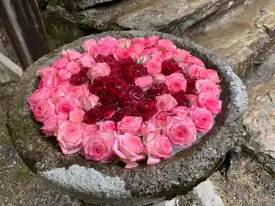 丹生都比売神社の手水舎