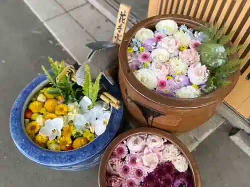 多賀神社の手水舎