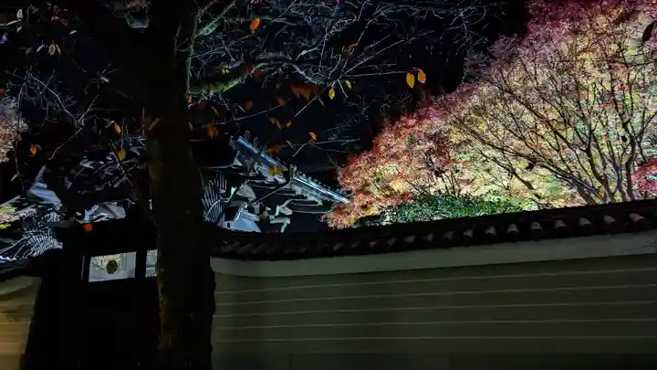 妙顯寺(妙顕寺)(京都府)