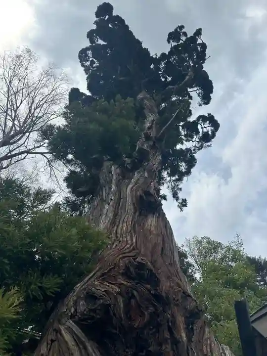 勝山八幡神社(山梨県)