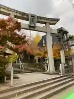 紅葉八幡宮(福岡県)