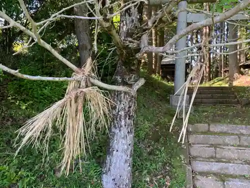 熊野神社の自然