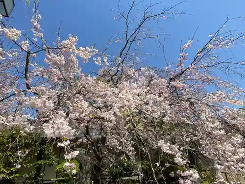 龍眼寺（萩寺）の庭園