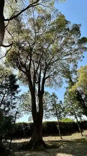大神神社(奈良県)