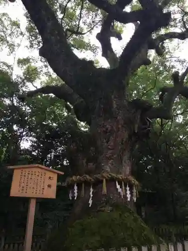 熱田神宮の自然