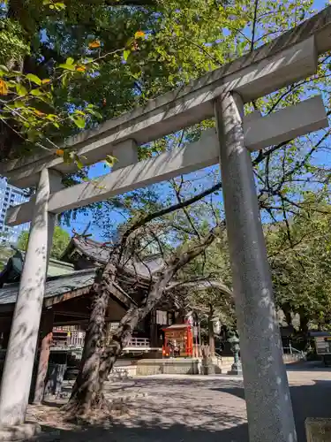 熊野神社の鳥居