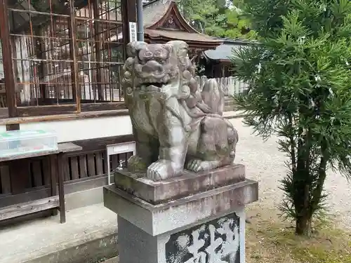 倭白山比咩神社（南出）の狛犬