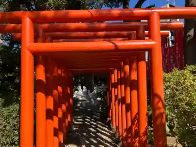 武蔵野稲荷神社の{uncategorized: "未分類", other: "その他", undefined: "問題あり", building: "その他建物", grave: "お墓", sacred_gate: "鳥居", guardian: "狛犬", statue: "像", buddha: "仏像", history: "歴史", nature: "自然", garden: "庭園", animal: "動物", pagoda: "塔", temizu: "手水舎", mountain_gate: "山門・神門", sanctuary: "本殿・本堂", subordinate: "末社・摂社", art: "芸術", scenery: "景色", jizo: "地蔵", ema: "絵馬", goshuin: "御朱印", omikuji: "おみくじ", items: "授与品その他", amulet: "お守り", goshuincho: "御朱印帳", eats: "食事", festival: "お祭り", votive_dance: "神楽", shichigosan: "七五三参", wedding: "結婚式", experience: "体験その他", initially: "初詣", around: "周辺", anti_infection: "感染症対策"}