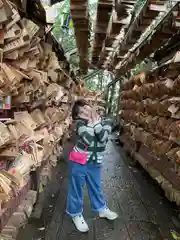 川越氷川神社(埼玉県)