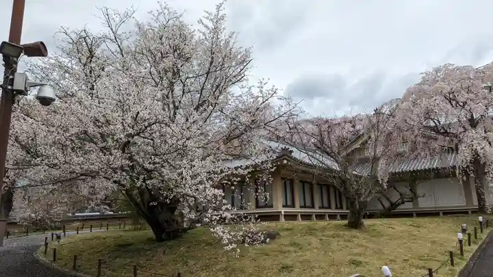 醍醐寺(京都府)