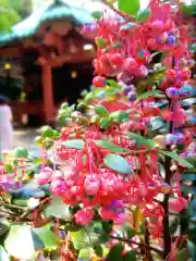 赤坂氷川神社(東京都)