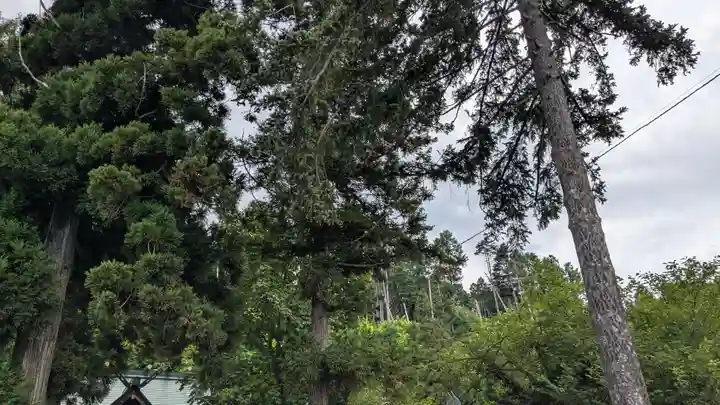 壮瞥神社(北海道)