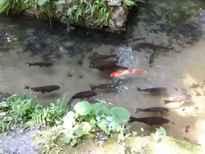 永光寺(石川県)