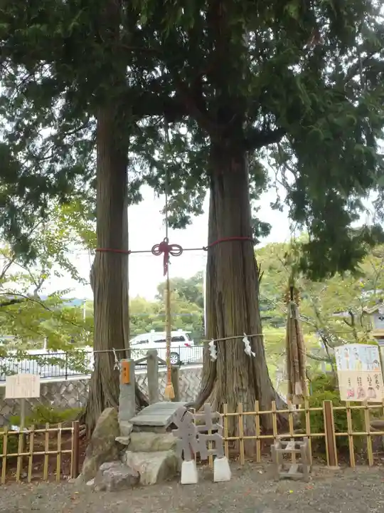 武雄神社の自然