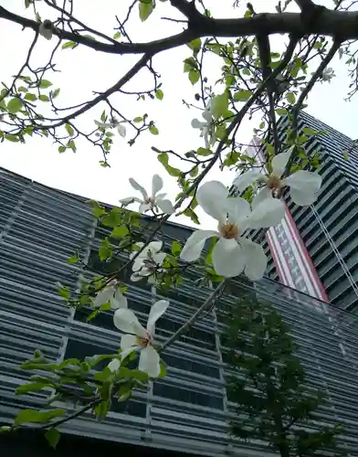今宮戎神社(大阪府)