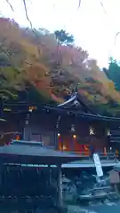 貴船神社の本殿