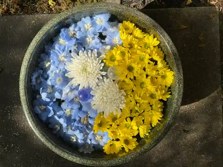 普賢寺の手水舎