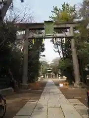 篠崎浅間神社の鳥居