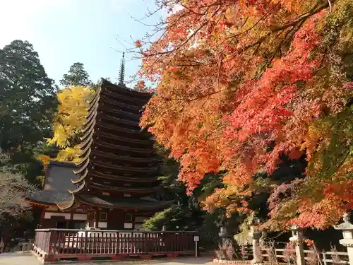 談山神社(奈良県)