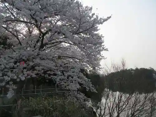 あやめ池神社の自然