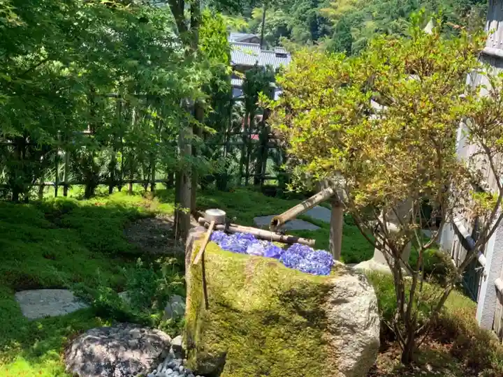 正寿院の手水舎