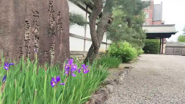 大聖寺門跡の庭園