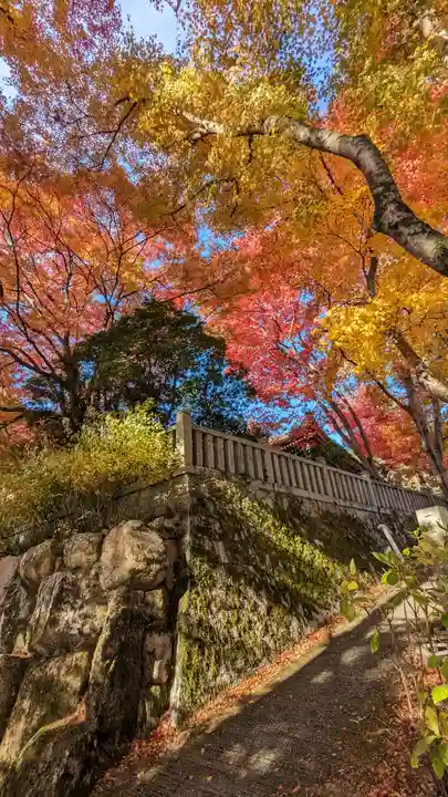 柳谷観音 楊谷寺(京都府)