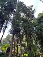 大宮温泉神社(栃木県)