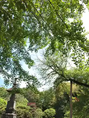 宝珠山　観泉寺の庭園