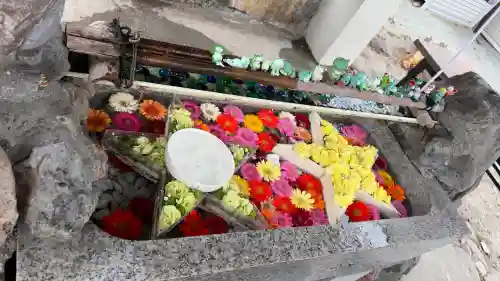 星置神社の{uncategorized: "未分類", other: "その他", undefined: "問題あり", building: "その他建物", grave: "お墓", sacred_gate: "鳥居", guardian: "狛犬", statue: "像", buddha: "仏像", history: "歴史", nature: "自然", garden: "庭園", animal: "動物", pagoda: "塔", temizu: "手水舎", mountain_gate: "山門・神門", sanctuary: "本殿・本堂", subordinate: "末社・摂社", art: "芸術", scenery: "景色", jizo: "地蔵", ema: "絵馬", goshuin: "御朱印", omikuji: "おみくじ", items: "授与品その他", amulet: "お守り", goshuincho: "御朱印帳", eats: "食事", festival: "お祭り", votive_dance: "神楽", shichigosan: "七五三参", wedding: "結婚式", experience: "体験その他", initially: "初詣", around: "周辺", anti_infection: "感染症対策"}