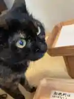 五十稲荷神社(栄寿稲荷神社)(東京都)