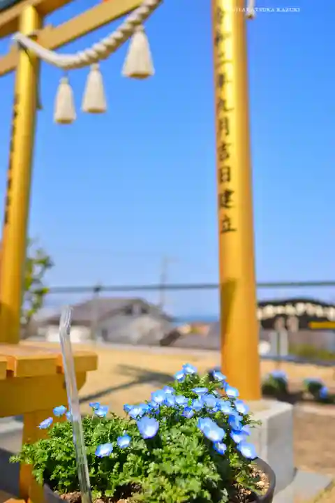 ほしいも神社(茨城県)