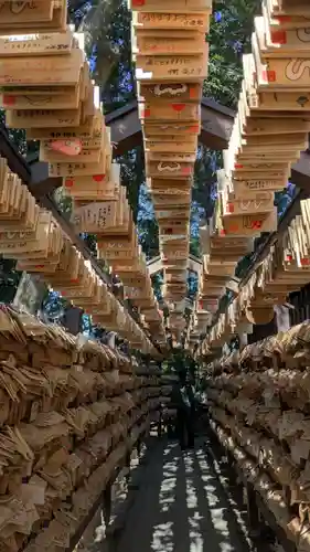 川越氷川神社(埼玉県)