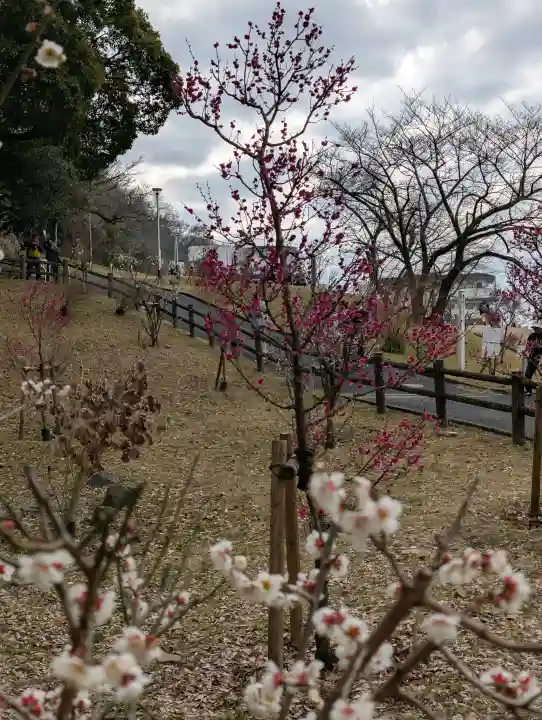 枚岡神社の{uncategorized: "未分類", other: "その他", undefined: "問題あり", building: "その他建物", grave: "お墓", sacred_gate: "鳥居", guardian: "狛犬", statue: "像", buddha: "仏像", history: "歴史", nature: "自然", garden: "庭園", animal: "動物", pagoda: "塔", temizu: "手水舎", mountain_gate: "山門・神門", sanctuary: "本殿・本堂", subordinate: "末社・摂社", art: "芸術", scenery: "景色", jizo: "地蔵", ema: "絵馬", goshuin: "御朱印", omikuji: "おみくじ", items: "授与品その他", amulet: "お守り", goshuincho: "御朱印帳", eats: "食事", festival: "お祭り", votive_dance: "神楽", shichigosan: "七五三参", wedding: "結婚式", experience: "体験その他", initially: "初詣", around: "周辺", anti_infection: "感染症対策"}