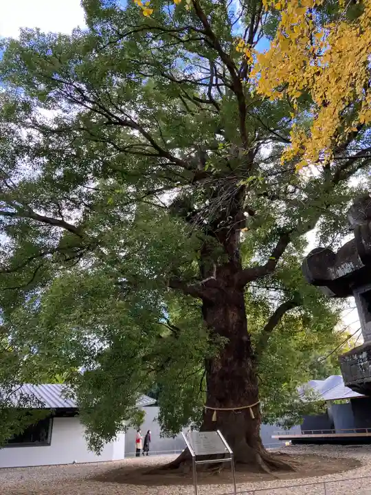 上野東照宮(東京都)