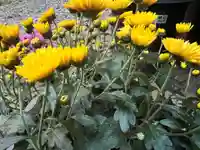 大宮温泉神社(栃木県)