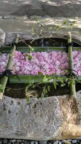 立志神社の{uncategorized: "未分類", other: "その他", undefined: "問題あり", building: "その他建物", grave: "お墓", sacred_gate: "鳥居", guardian: "狛犬", statue: "像", buddha: "仏像", history: "歴史", nature: "自然", garden: "庭園", animal: "動物", pagoda: "塔", temizu: "手水舎", mountain_gate: "山門・神門", sanctuary: "本殿・本堂", subordinate: "末社・摂社", art: "芸術", scenery: "景色", jizo: "地蔵", ema: "絵馬", goshuin: "御朱印", omikuji: "おみくじ", items: "授与品その他", amulet: "お守り", goshuincho: "御朱印帳", eats: "食事", festival: "お祭り", votive_dance: "神楽", shichigosan: "七五三参", wedding: "結婚式", experience: "体験その他", initially: "初詣", around: "周辺", anti_infection: "感染症対策"}