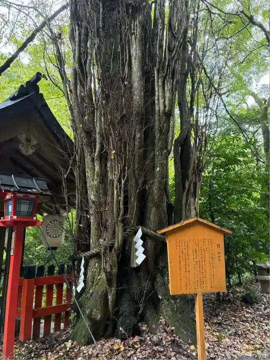 貴船神社(京都府)