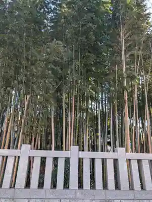 不知森神社(千葉県)
